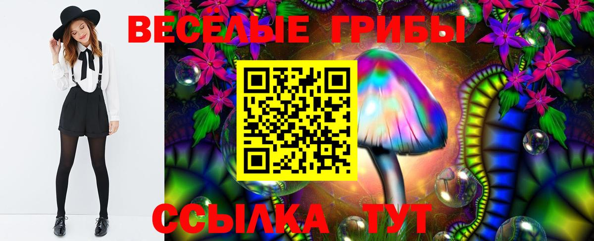 Электросталь  Псилоцибиновые грибы Psilocybe  Вход с VPN 